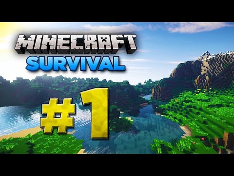 minecraft #2 survival ქარტულად